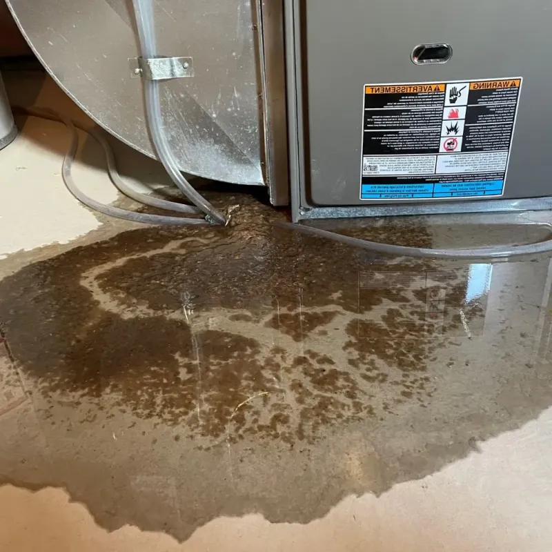 Pipe Burst and Leak Restoration in Kokomo, IN